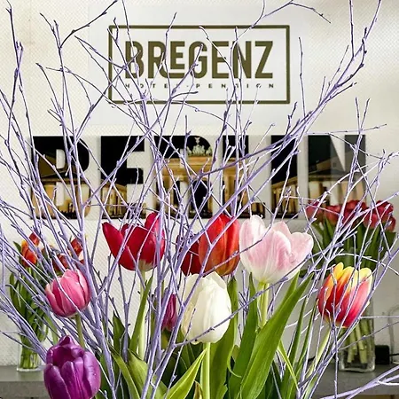 Hotel Bregenz-3